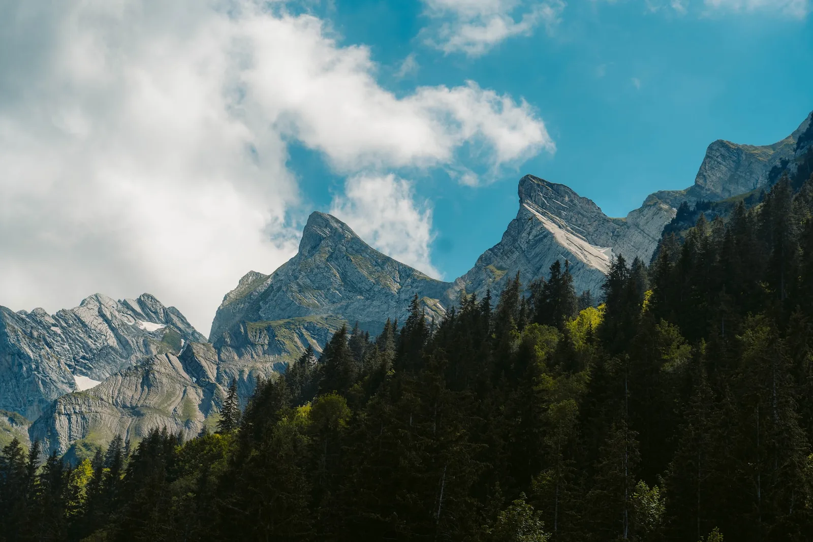 Les plaisirs de l'été dans les Alpes